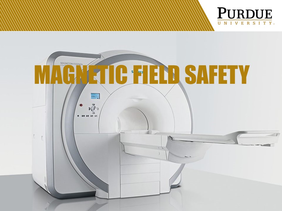 clickable link for magnetic field safety training